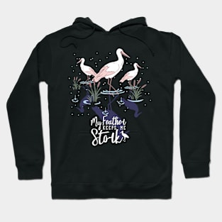 Stork Humor: 'My Feather Keeps Me Stork' Hoodie